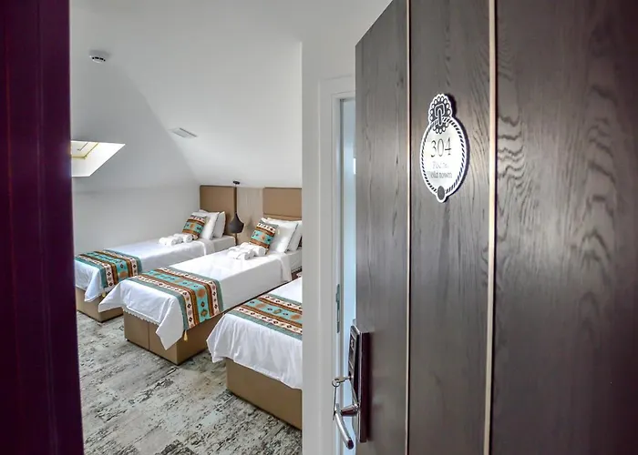 酒店 萨拉热窝门赫里塔吉酒店 3*